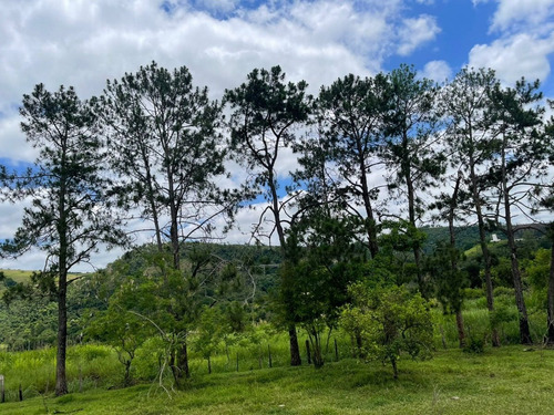 Imagem 4 de 24 de M01- Oportunidade De Ter Sua Casa No Campo