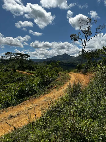 Lote Con Acceso A Río En San Carlos Antioquia