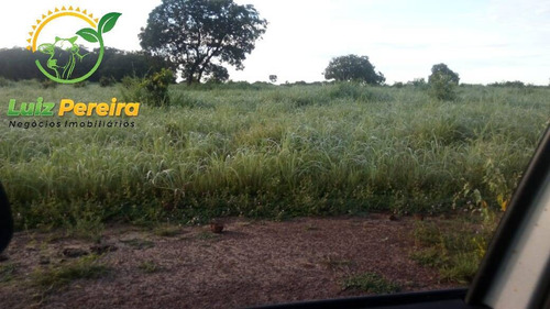 Imagem 4 de 6 de Fazenda À Venda Em Figueirópolis - To - De 281 Alqueirões - 1818