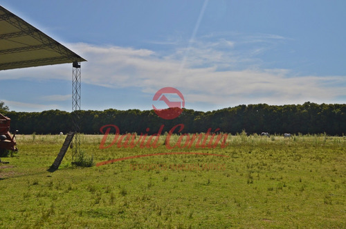 Imagen 5 de 30 de Hermoso E Ideal Campo En Venta