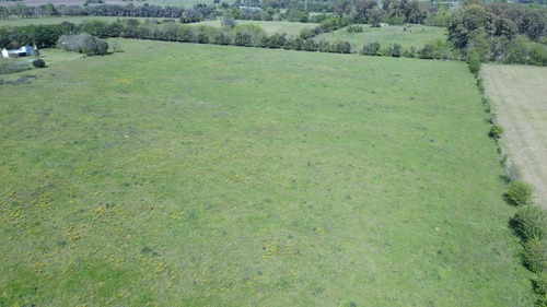 Imagen 3 de 3 de Chacra En Venta San Antonio De Areco