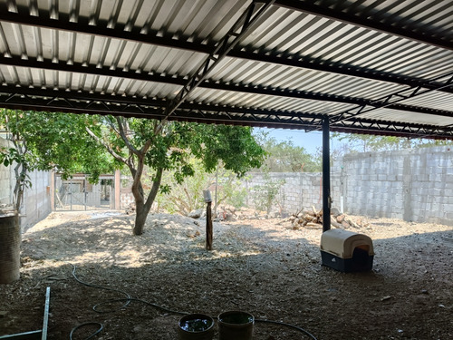 Terreno De 288 Mts. Cuadrados, Bardeado, Todos Los Servicios