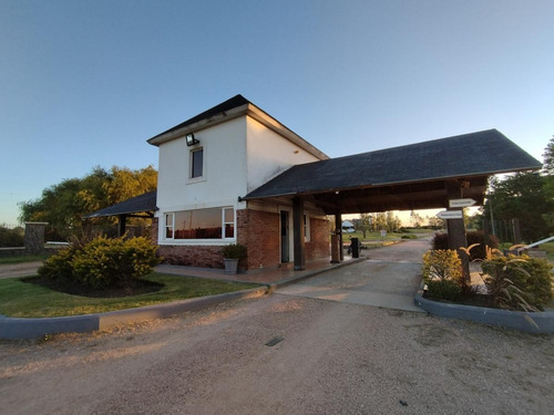 Imagen 16 de 16 de Gran Casa En Venta En Colinas De Carrasco - Amplio Terreno