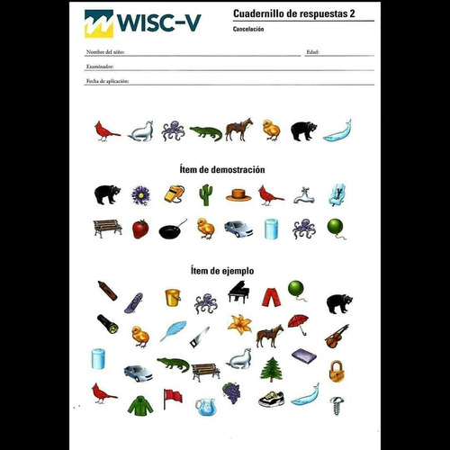 Material Wisc V Con Software Completo