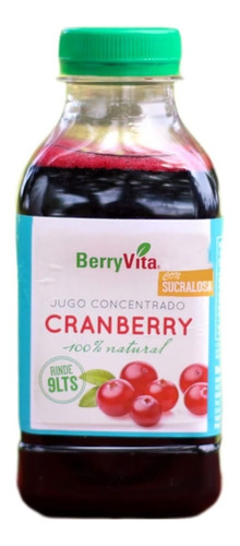 Jugo Concentrado Cranberry 100% Natural, 450ml Suc/agronewen