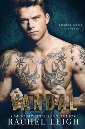 Vandal An Mm Bully Romance (redwood Rebels) - Leigh,, de Leigh, Rachel. A Dark Bully Romance Editorial Independently Published en inglés