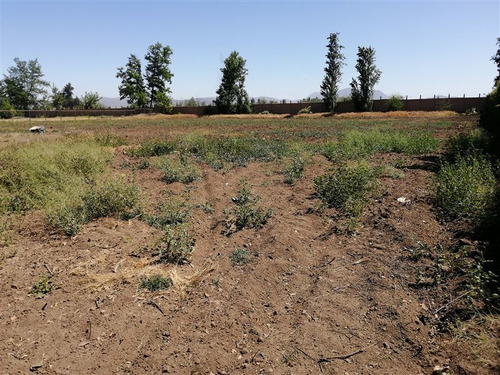 Sitio En Venta En Colina