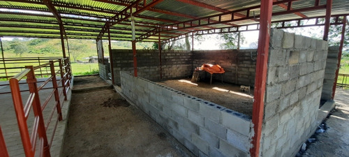 Imagen 5 de 14 de Se Vende Finca 72 Has Orilla De Carretera Manzanita