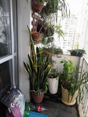 Imagem 6 de 15 de Apartamento, Venda, Santana, Sao Paulo - 26747 - V-26747