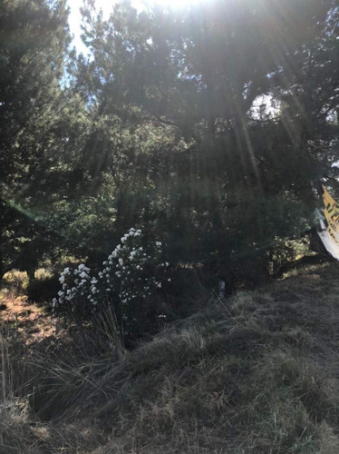 Imagen 5 de 24 de Terreno En Venta En Amanalco De Becerra, Amanalco, Edo. De México.