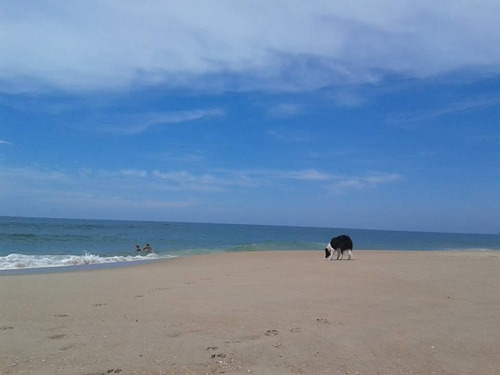 Imagen 3 de 10 de Alquiler En Santa Isabel !! Loft A 350 Mts De La Playa!