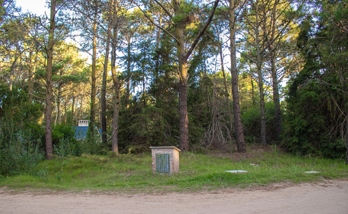  Lote Terreno En Venta En Carilo