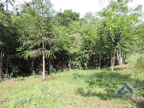 Chácara Com 1 Dormitório À Venda, 8000 M² Por R$ 480.000,00 - Gleba Ribeirão Cafezal - Londrina/pr - Ch0031