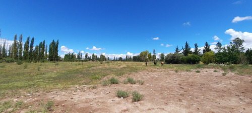 Imagen 13 de 16 de Terreno Publico 1.160 M2 Barreal Centro