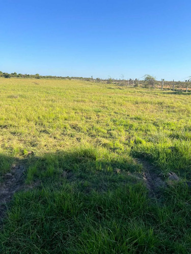 Se Vende Parcela De 5.000 Mt2 Cerca De Parral (126604)