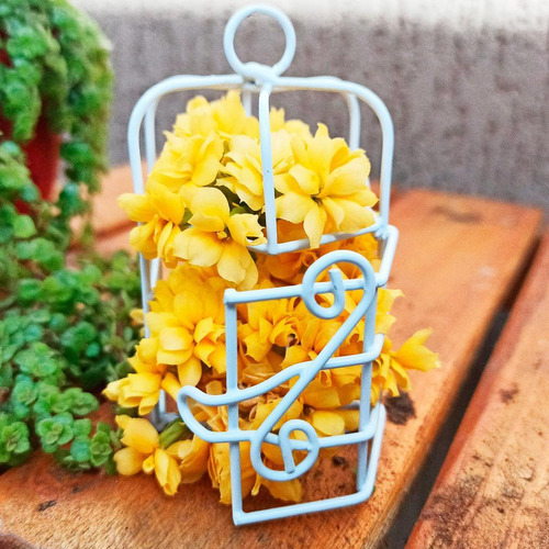 Kit de decoración de recuerdo con 10 minijaulas, color blanco