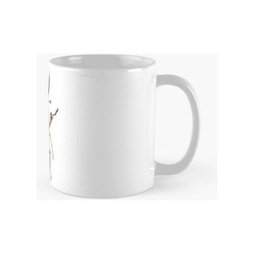 Taza Escarabajo Ciervo (lamprima Adolphinae) Calidad Premium