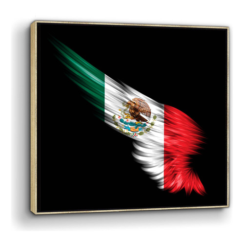 Cuadro Canvas Bandera Alas Mexicana C/marco Flot. 100x100