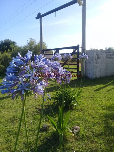 Imagen 16 de 22 de Venta De Chacra Con Casa , 5 Has , Maldonado