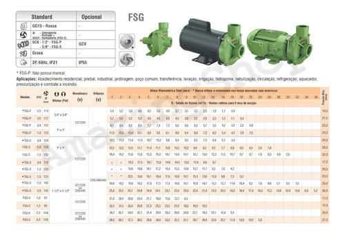 Motobomba Centrífuga Água Limpa Fsg-p 1cv Motor Weg Famac
