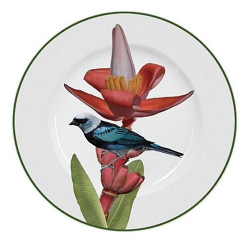 Plato hondo de porcelana Dalga con la imagen de un pájaro brasileño