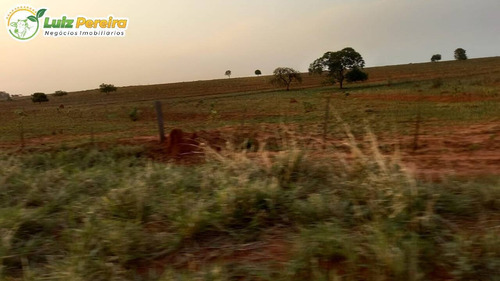 Imagem 7 de 14 de Fazenda Á Venda Em Rio Verde - Ms - 4.200 Hectares (dupla Aptidão) - 2167