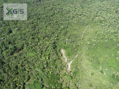 Imagem 4 de 14 de Fazenda À Venda, 2.019,2237 Ha Por R$ 1.600.000 - Br-308 - Mirinzal/ma - Fa0014