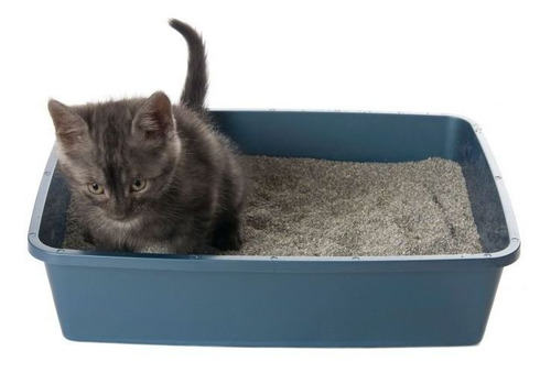 Imagen 3 de 4 de Piedras Arena Aglomerante Para Gatos Bentonita Pack X 20 Kg