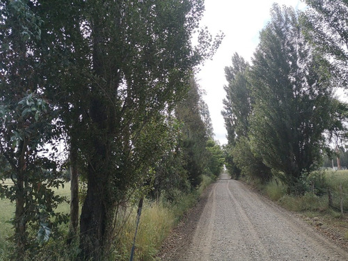 Imagen 9 de 15 de Parcelas En El Carmen, Chillán Región De Ñuble
