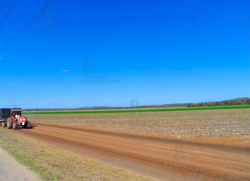 Imagen 9 de 11 de Terreno En Venta 1200 Hectareas Tekax, Yucatán. Ctv16.