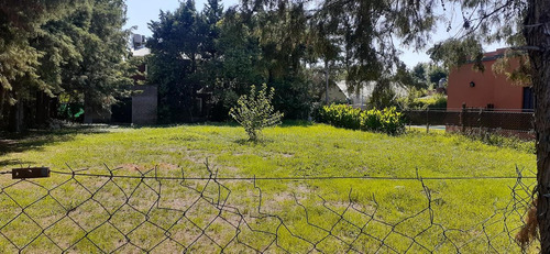 Imagen 2 de 7 de Venta Terreno Parque Sakura Exaltación De La Cruz Sin Expensas