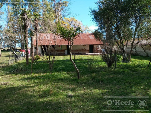Imagen 17 de 27 de Campo De 600 Has En Venta En Gualeguaychu - Muy Buen Campo Ganadero De 0,7 Ev/ha Con Casco