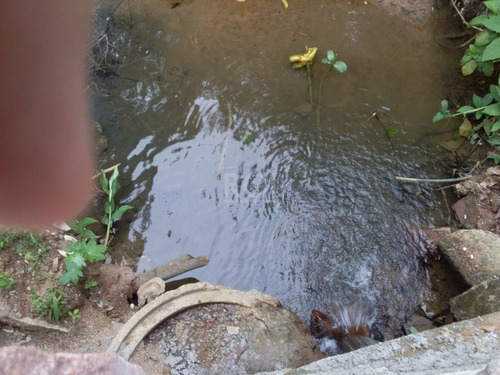 Terreno Em Vila Nova - Li50879502