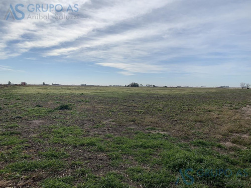 Imagen 9 de 25 de Excelente Campo Agricola De 62,73 Has.