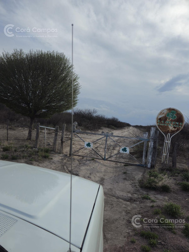 Se Vende Campo Ganadero De 3500 Ha En Mendoza, Argentina