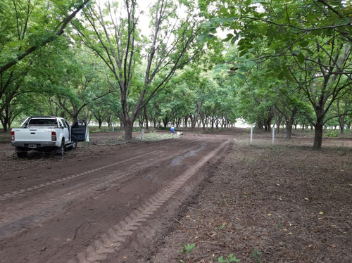 Venta, Hermosos Lotes Arbolados En Gualeguay.