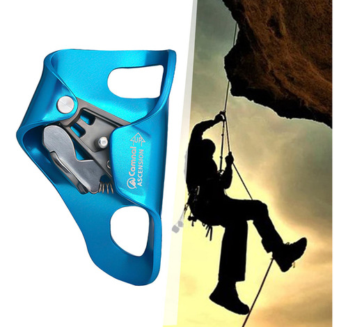 Pecho Ascender Árbol Rocas Escalada Montañismo Azul
