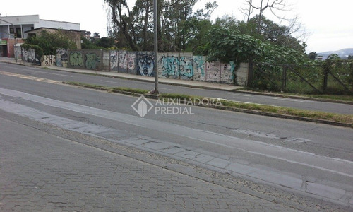 Imagem 3 de 6 de Terreno - Lomba Do Pinheiro - Ref: 282949 - V-282949