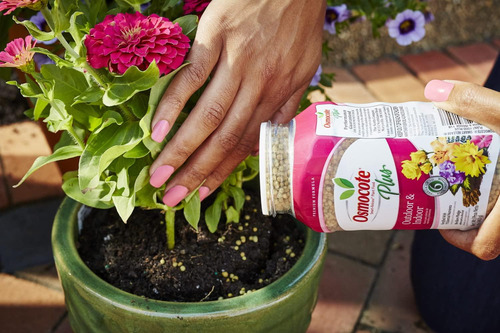 Abono Osmocote De Liberación Controlada Para Plantas 1 Libra