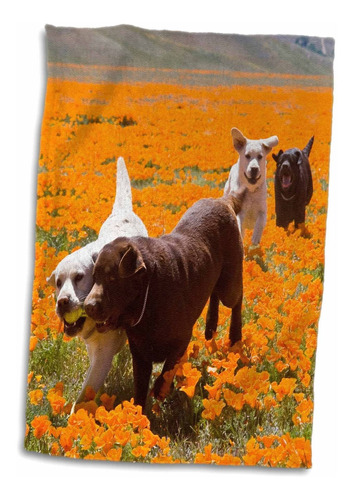 3d Rose Four Labrador Retriever Dogs-california-us05 Zm...