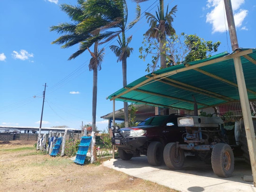 Finca En El Placer, Parroquia Carmen De Cura, Municipio Camatagua Del Estado Aragua. Pfml