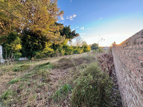 Ibarlucea Y Santa Teresa - Terreno En Venta - Andino