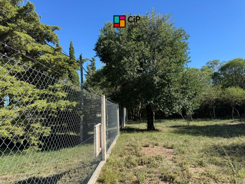 Venta De Lote Sobre Ruta 1