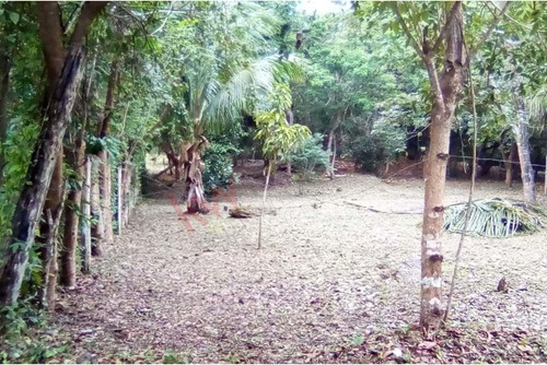 Lote En Venta En Bacalar - Uso De Suelo Mixto - Frente A Carretera Federal 307 - En Esquina - A ...