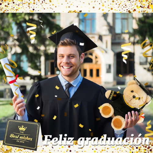 Peluche De Graduación Oso Con Bolsa Regalo Y Tarjetas