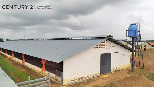 Imagen 2 de 17 de Se Vende Granja Avicola Para Inversionistas En Cantaura - Edo Anzoategui