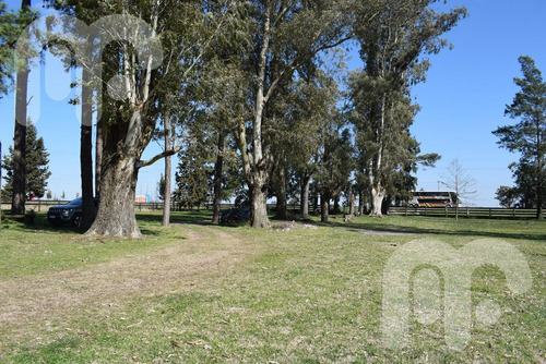 Imagen 12 de 26 de Venta Fracción- Ruta 2