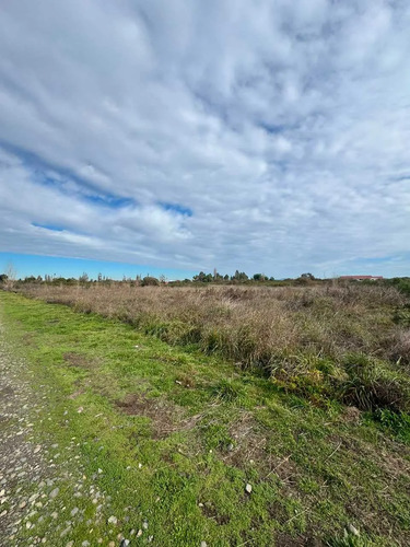 Parcela De 5000m2 En Portal Quillon  (175523)
