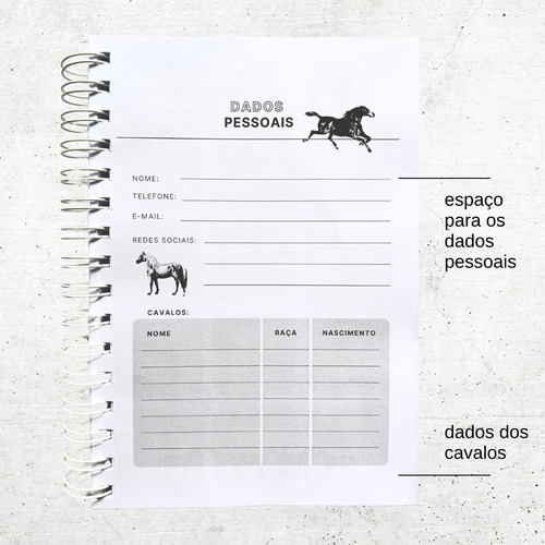 Planner Permanente Hipismo&co