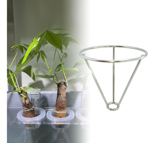 Soporte Del Triángulo Del Triángulo De La Planta Plata